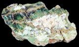 Polished Green-White Opal Section - Western Australia #65408-1